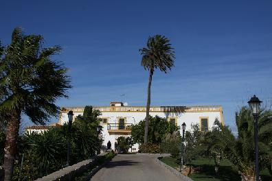 Son Manera Hotel Rural Montuiri  Buitenkant foto